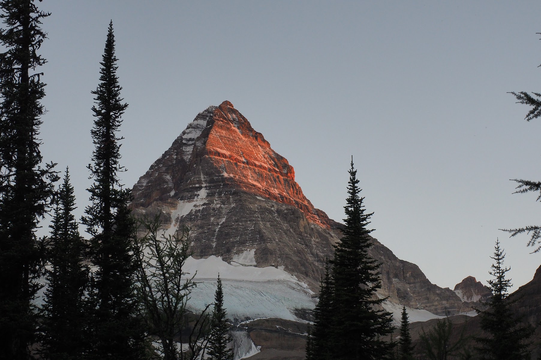 Assiniboine