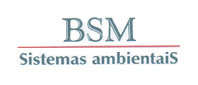 bsm